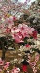 20090331144728.jpg